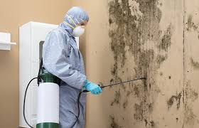 Mold Documentation for Insurance Claims in Delhi Hills, OH